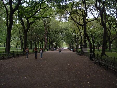 centralpark1.jpg